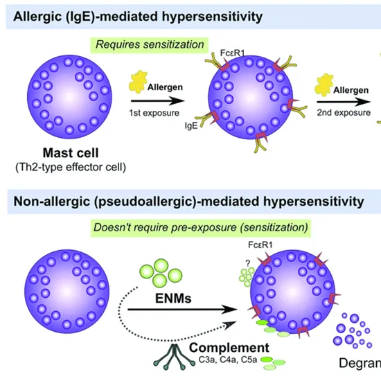 total ige absolute value test